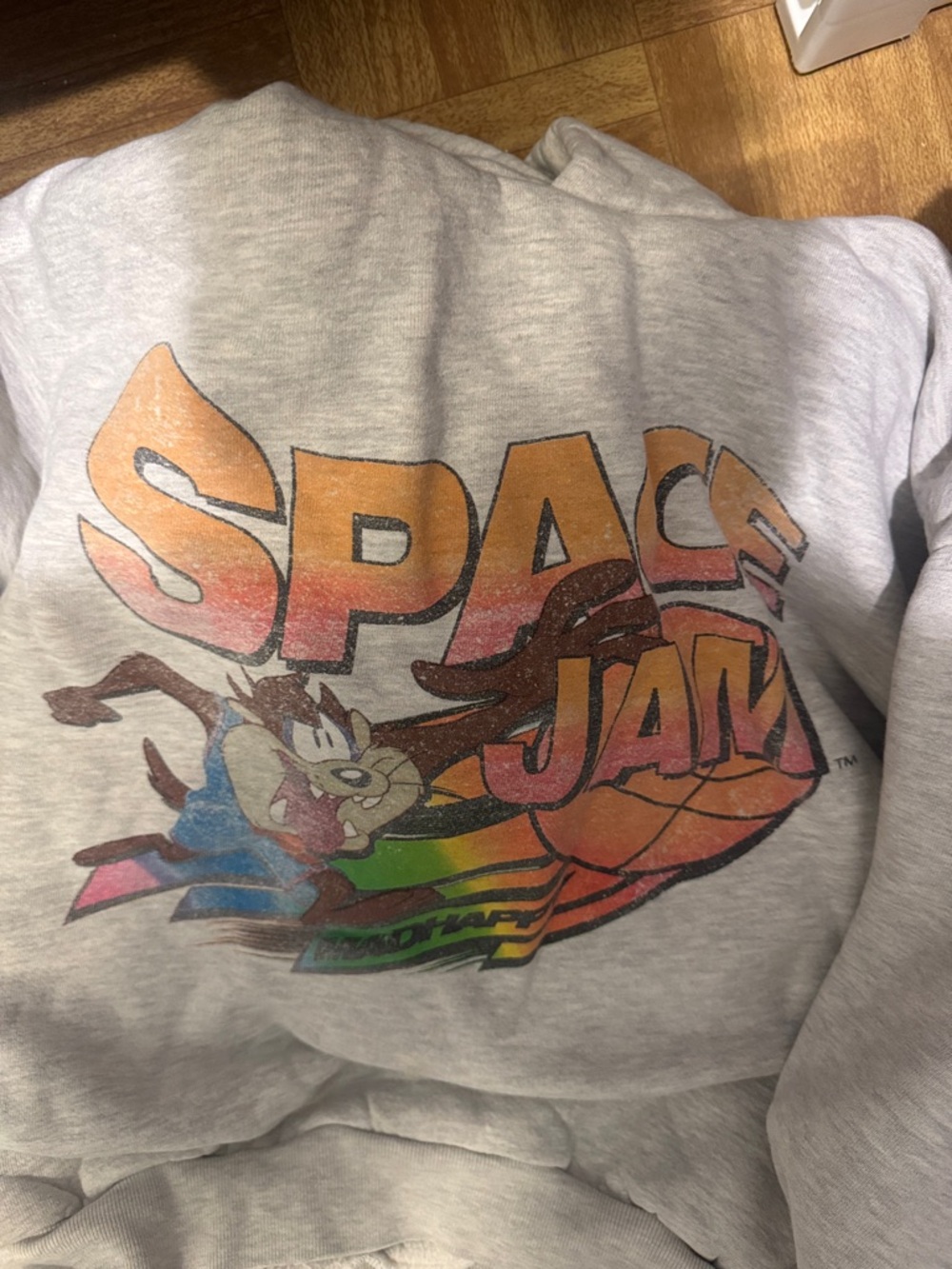 Madhappy Gray Space Jam Graphic Sweater with Multicolor Print